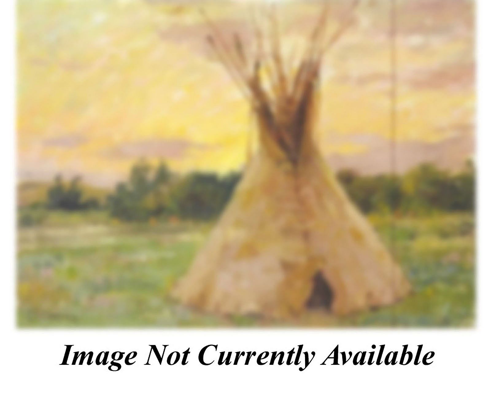 The Old Skin Tepee